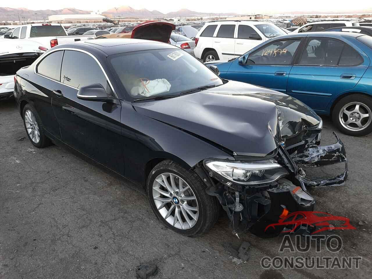 BMW 2 SERIES 2016 - WBA1F9C59GV544733