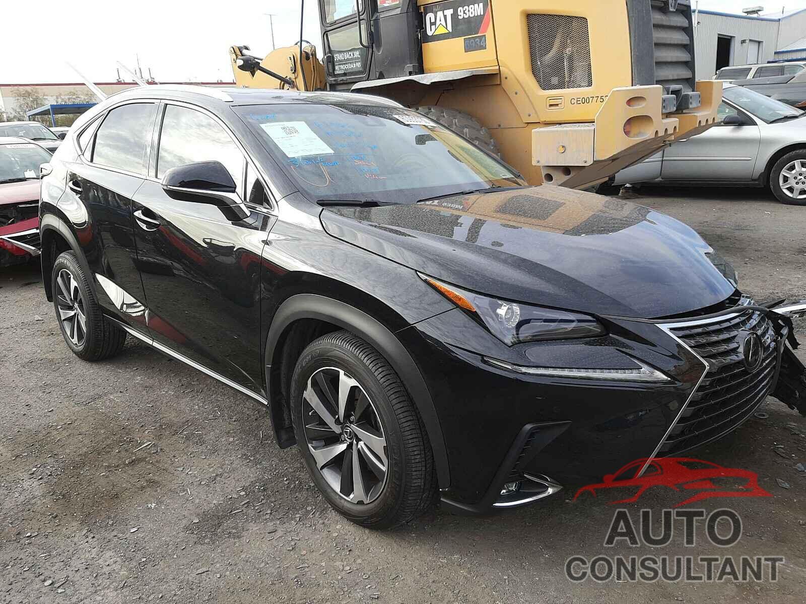 LEXUS NX 2019 - JTJYARBZ4K2136961