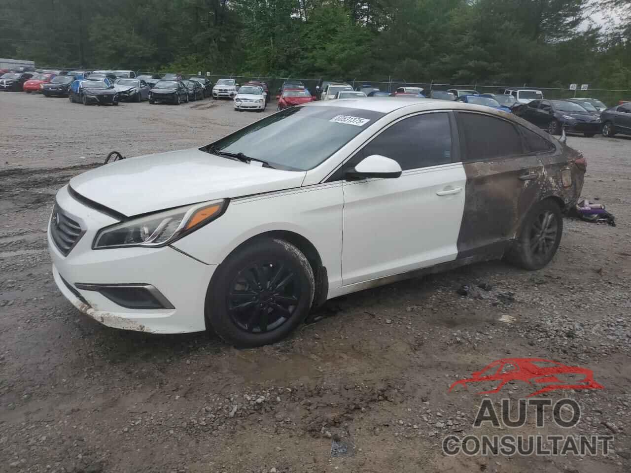 HYUNDAI SONATA 2016 - 5NPE24AF9GH328430
