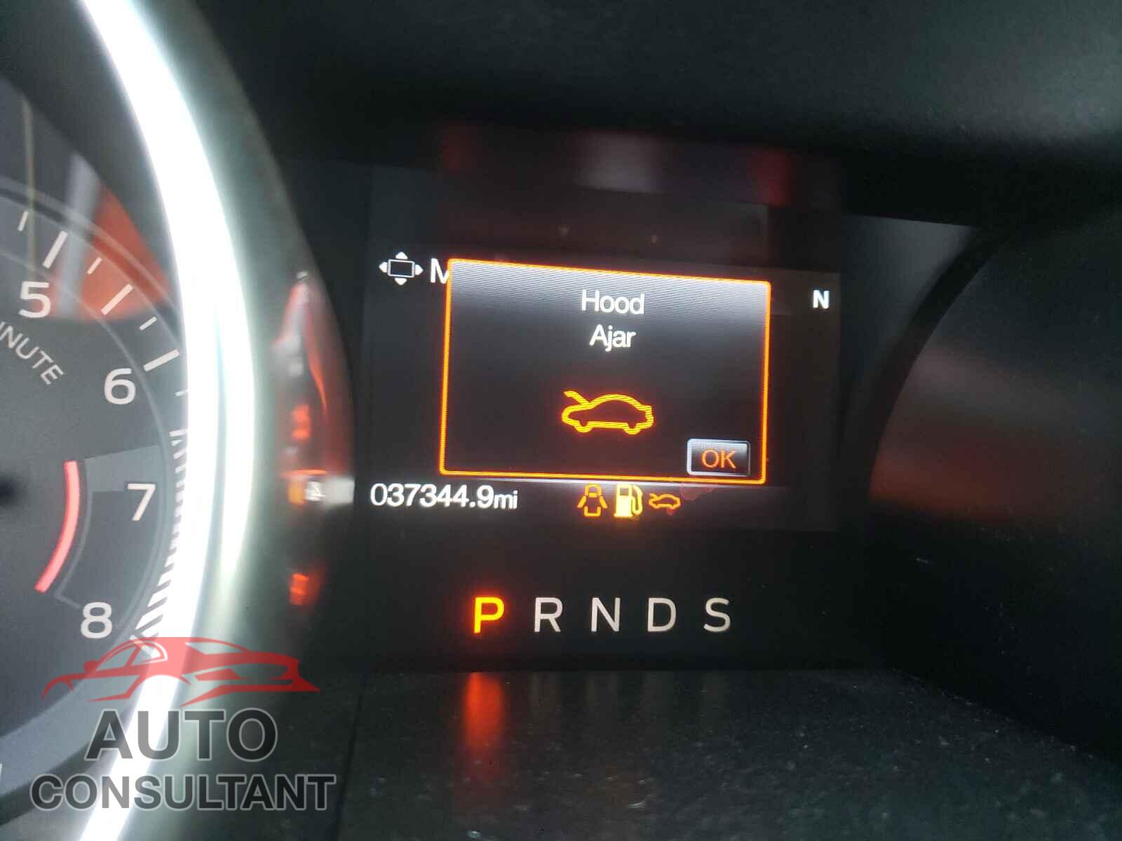 FORD MUSTANG 2019 - 1FA6P8TH4K5131966