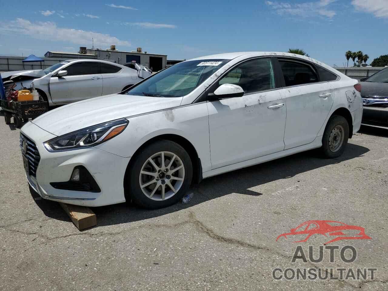 HYUNDAI SONATA 2019 - 5NPE24AF4KH814930