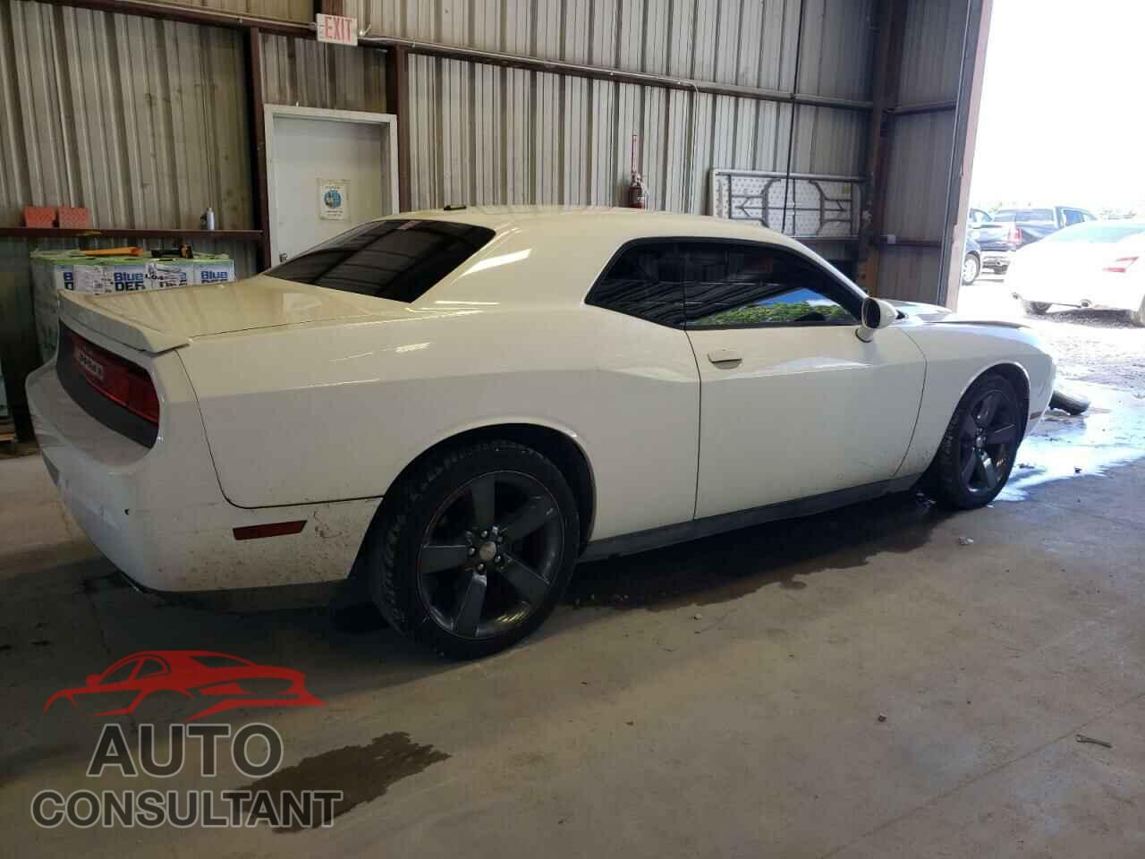 DODGE CHALLENGER 2013 - 2C3CDYAG3DH570057