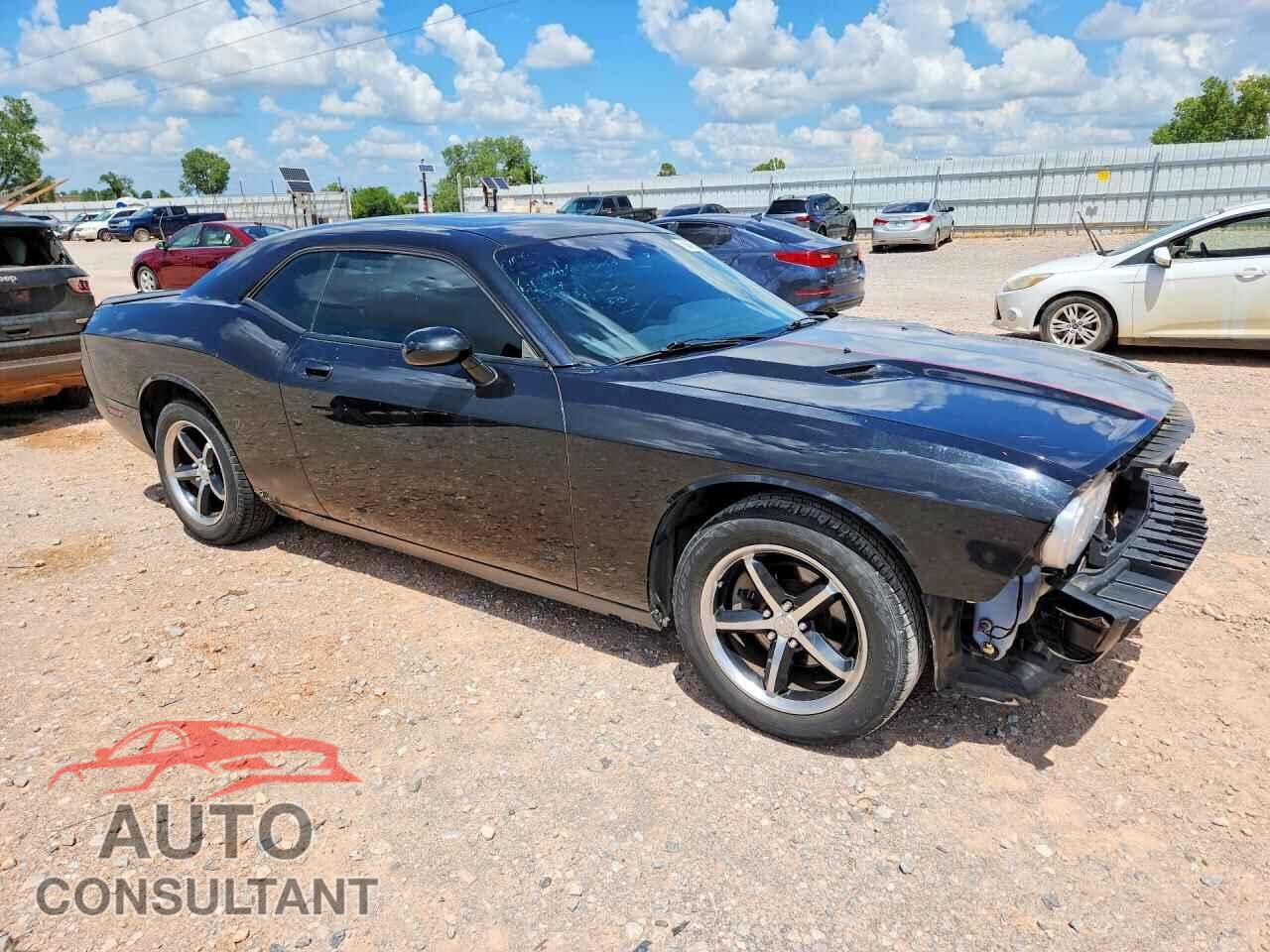 DODGE CHALLENGER 2010 - 2B3CJ4DVXAH314454