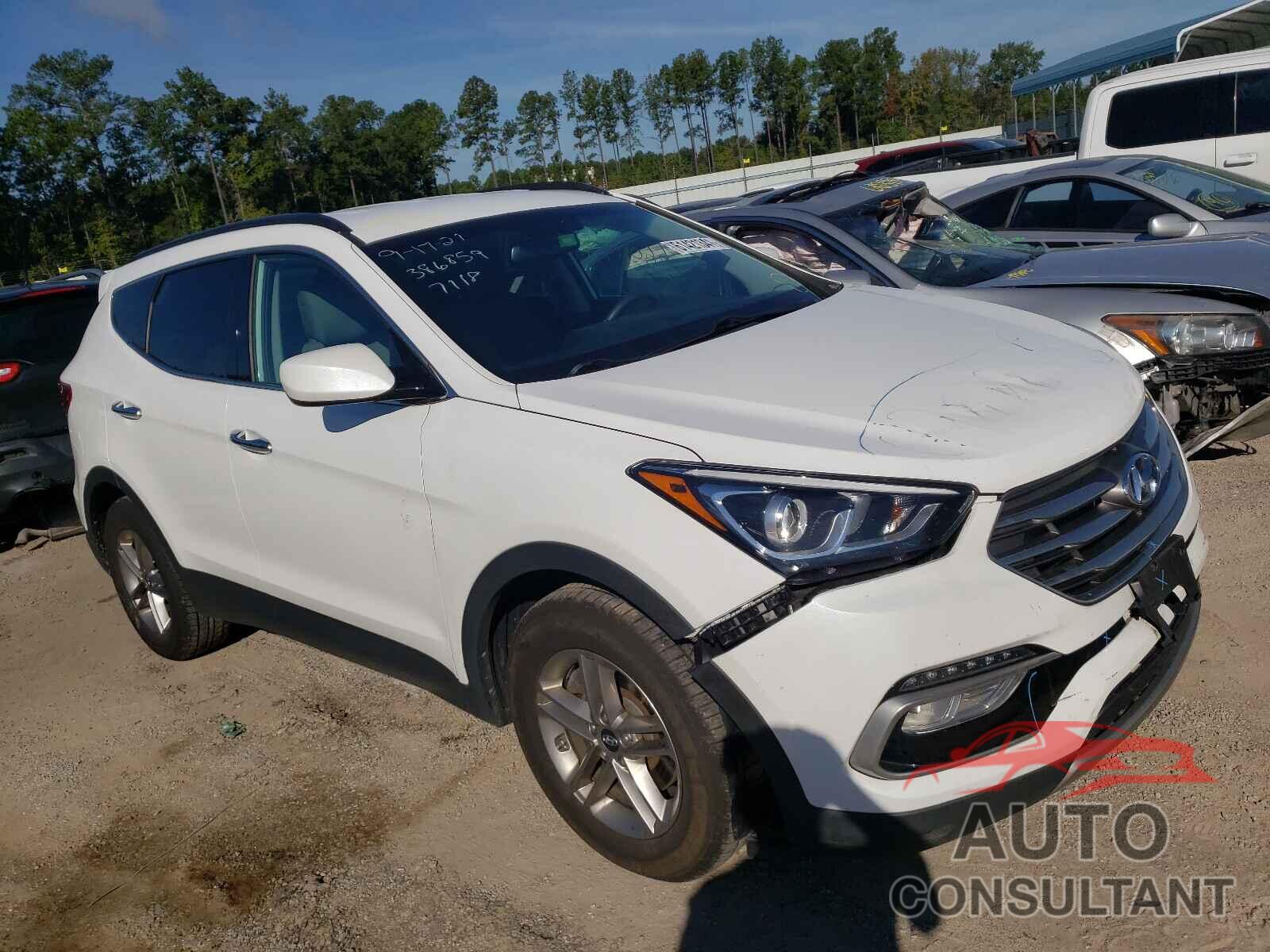 HYUNDAI SANTA FE 2017 - 5NMZU3LB0HH037118