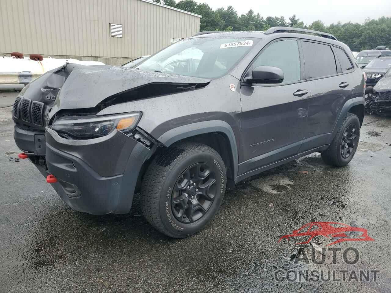 JEEP CHEROKEE 2019 - 1C4PJMBX3KD300138