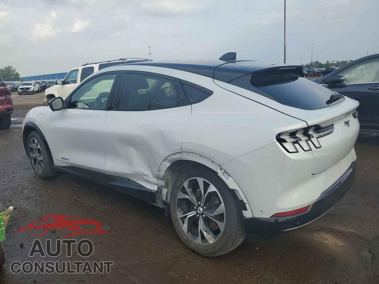 FORD MUSTANG 2021 - 3FMTK3SS7MMA01314