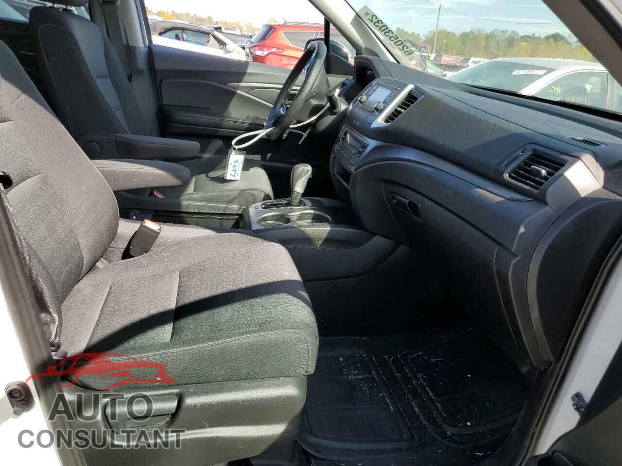 HONDA RIDGELINE 2019 - 5FPYK3F10KB017567