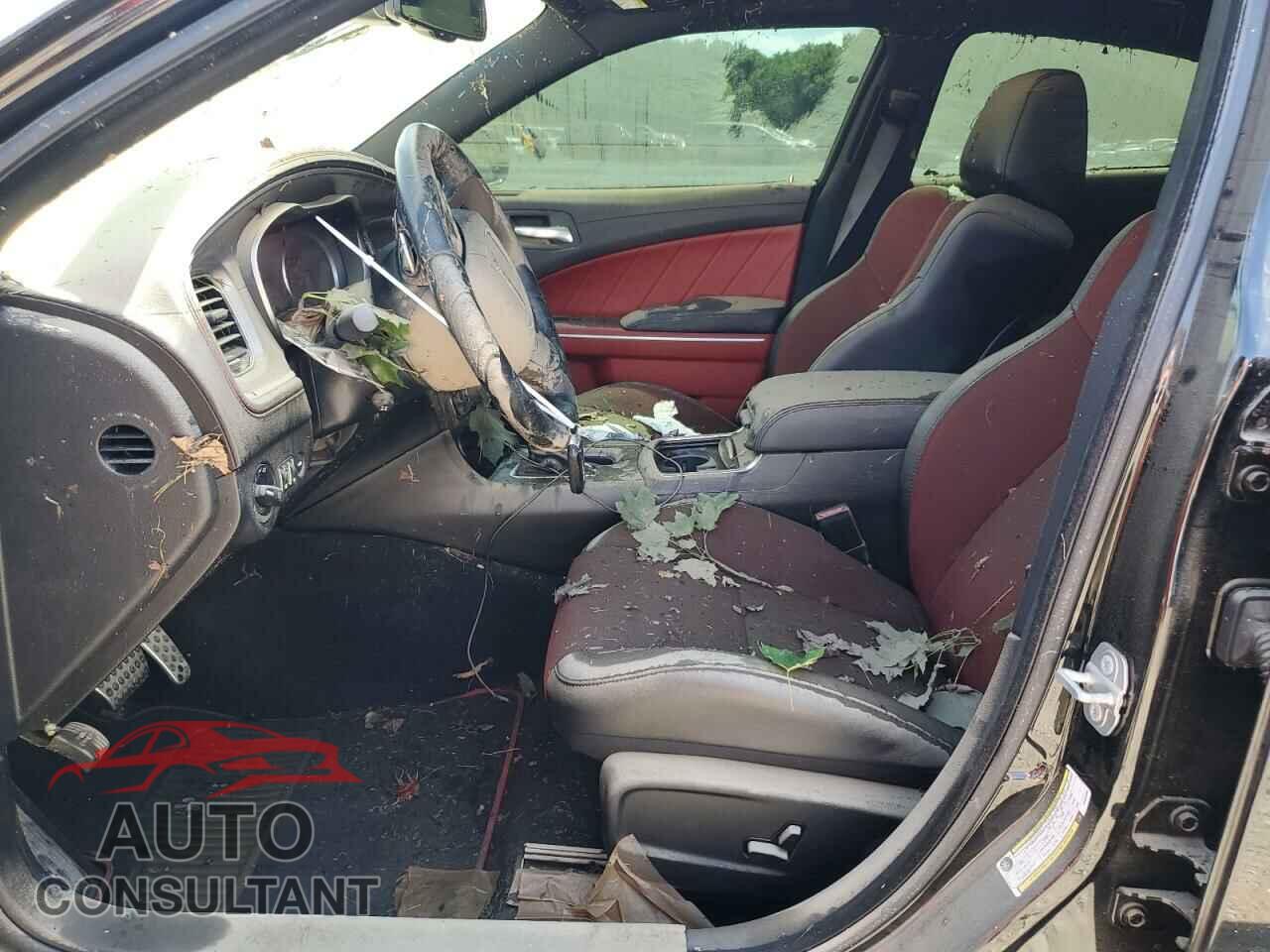 DODGE CHARGER 2019 - 2C3CDXGJ3KH650890