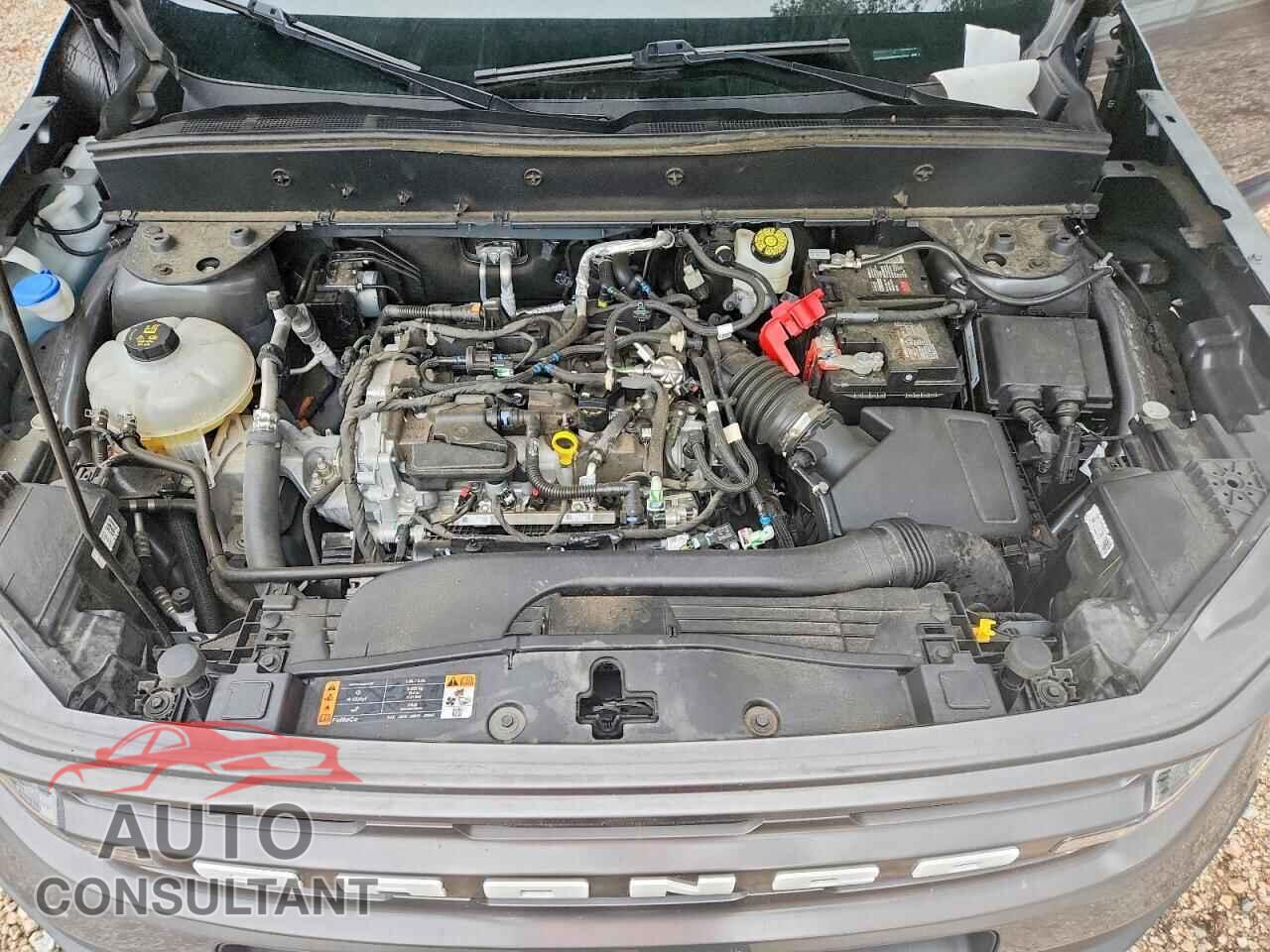FORD BRONCO 2024 - 3FMCR9B69RRF64716