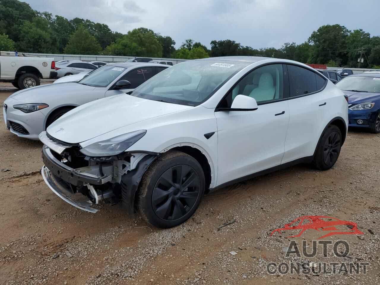 TESLA MODEL Y 2024 - 7SAYGDED1RF132168