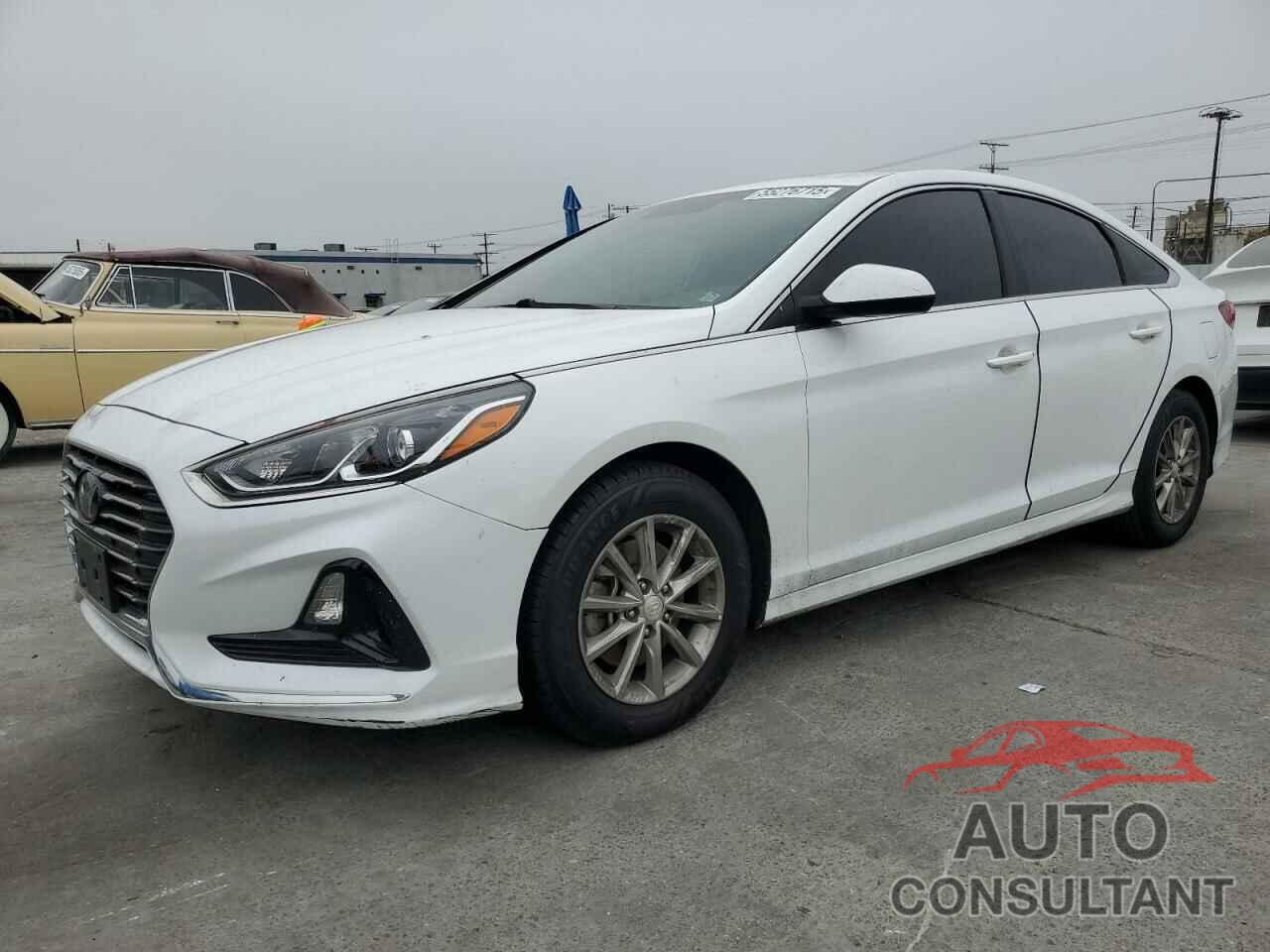 HYUNDAI SONATA 2019 - 5NPE24AFXKH817699