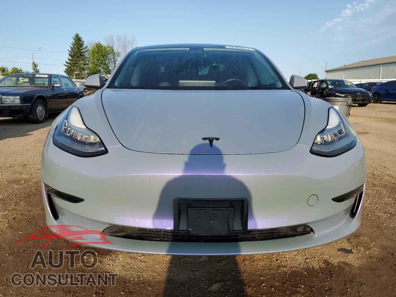 TESLA MODEL 3 2019 - 5YJ3E1EA4KF419995