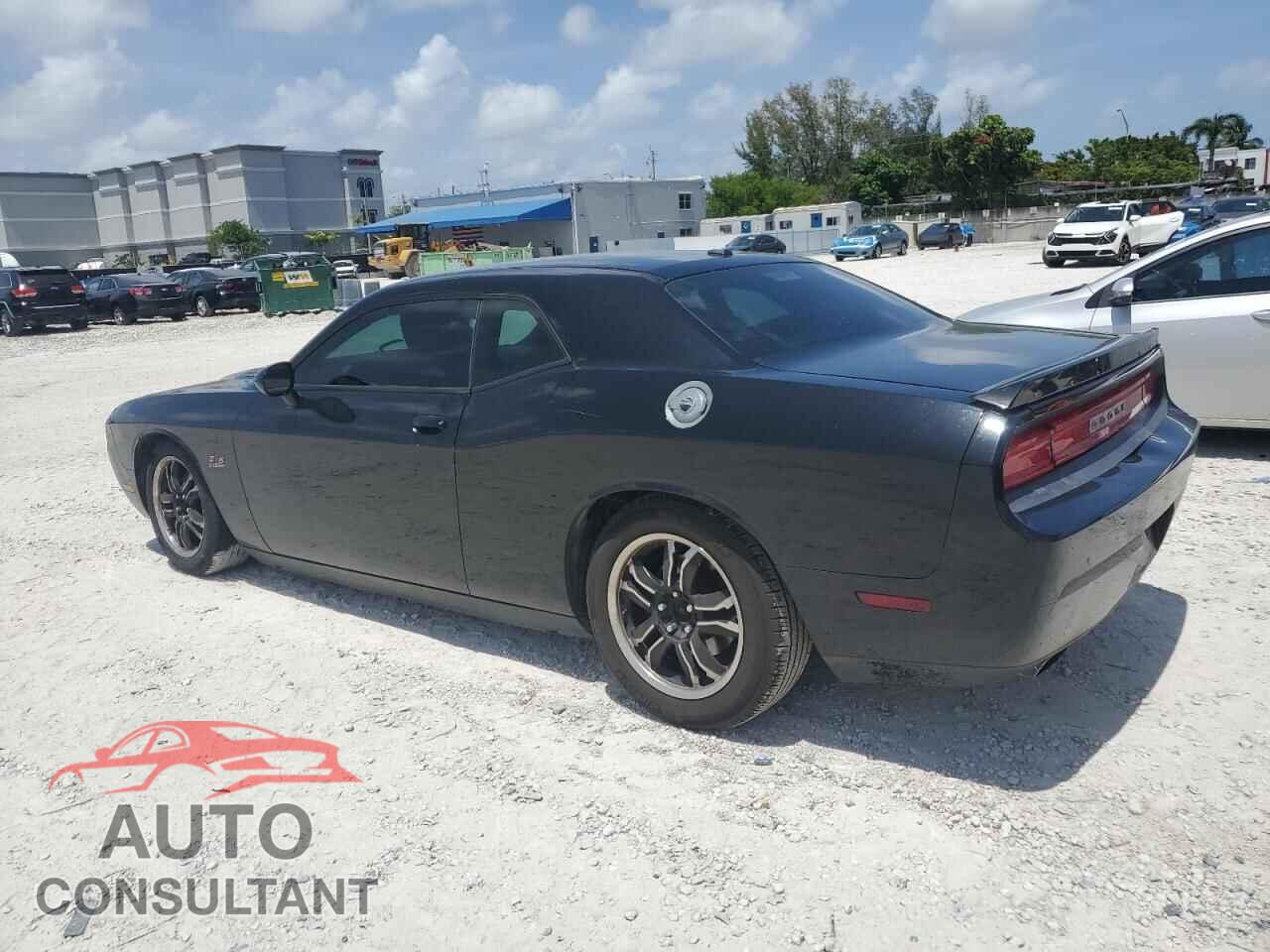 DODGE CHALLENGER 2013 - 2C3CDYBT7DH742005