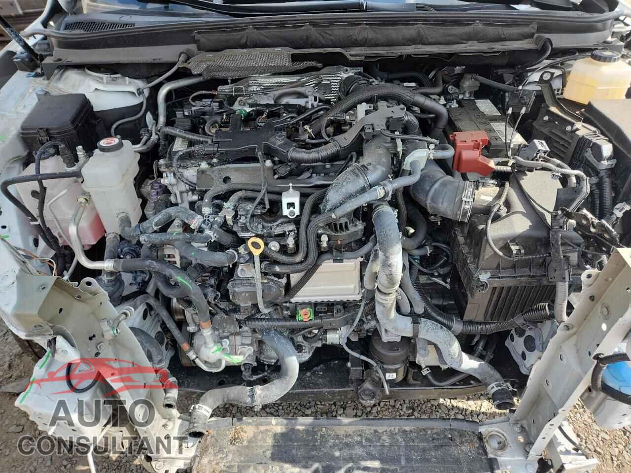 LEXUS RX350 2023 - 2T2BAMCA0PC012906