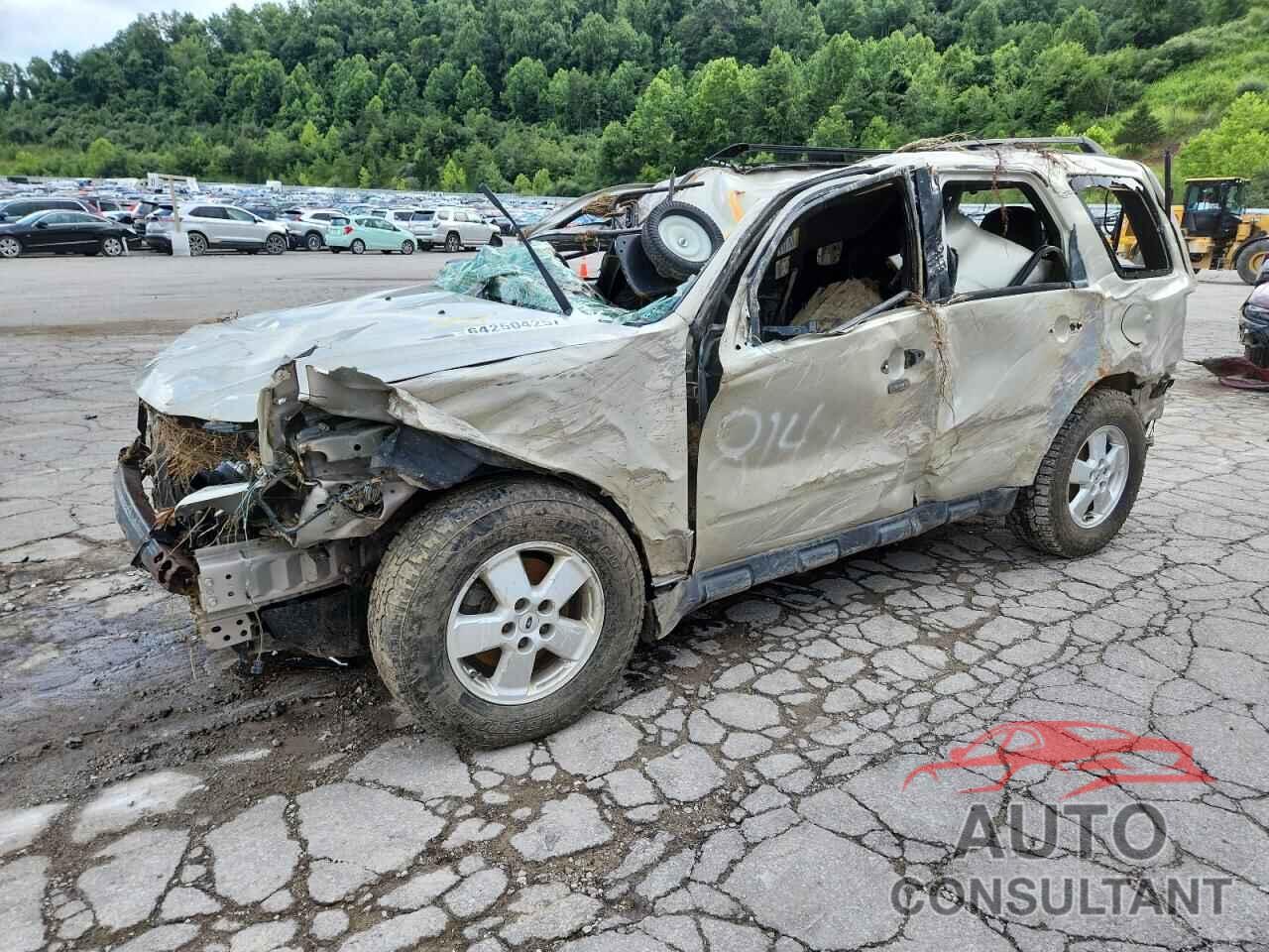 FORD ESCAPE 2011 - 1FMCU9D74BKC36960