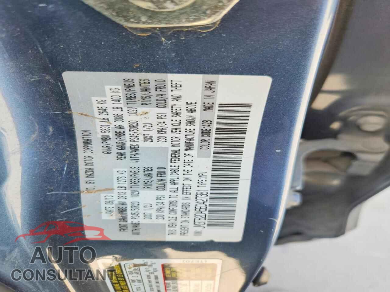 MAZDA CX-9 2014 - JM3TB2DA6E0427381