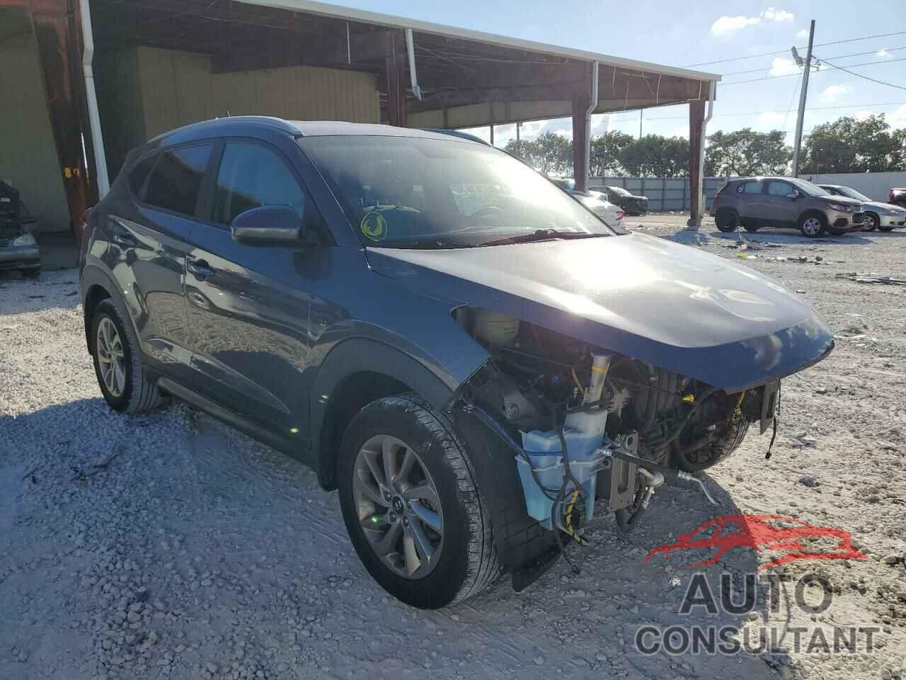 HYUNDAI TUCSON 2016 - KM8J33A41GU182806