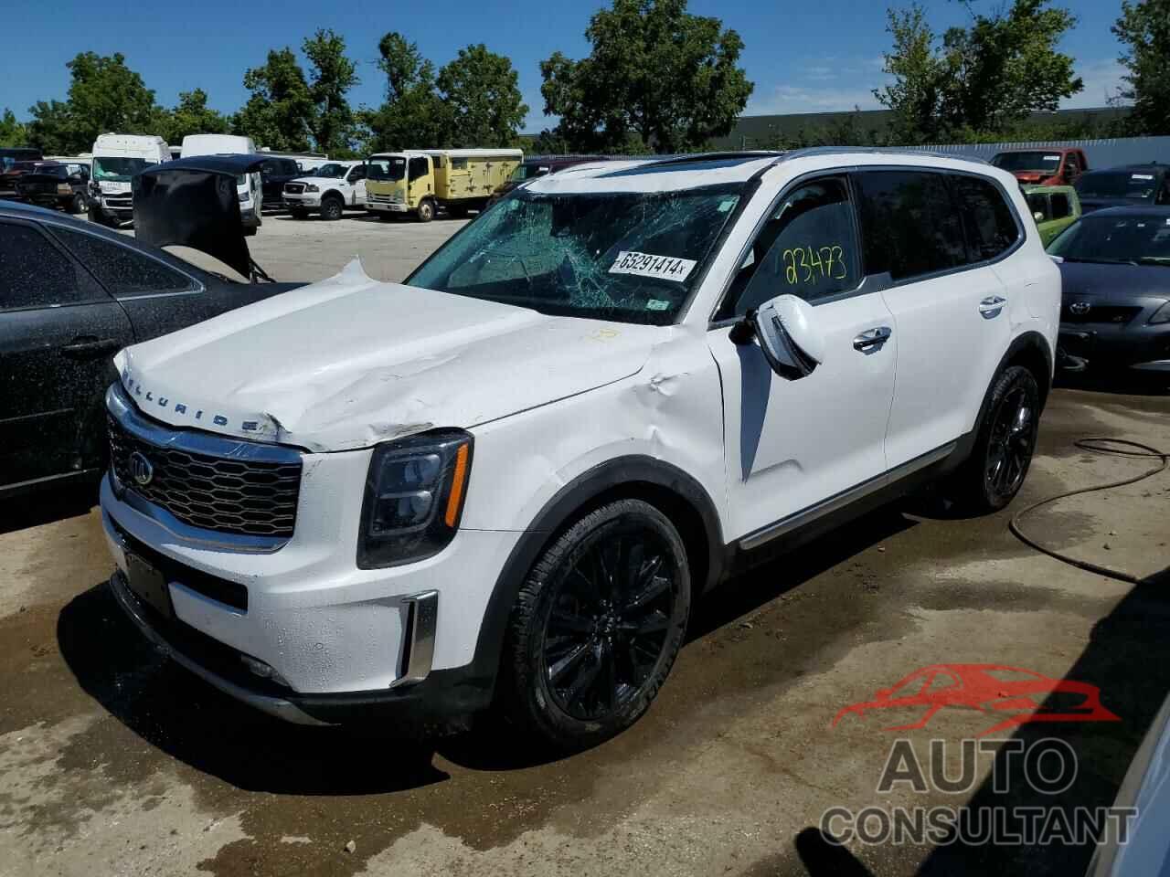 KIA TELLURIDE 2021 - 5XYP5DHC5MG127395