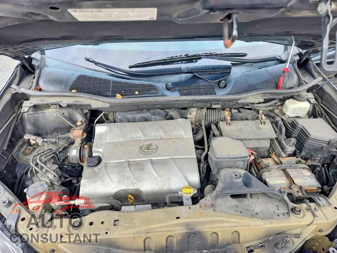 LEXUS RX350 2010 - 2T2BK1BA4AC055715