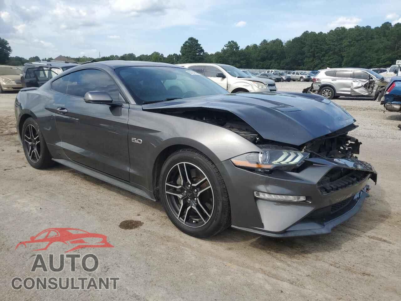 FORD MUSTANG 2019 - 1FA6P8CF3K5151611