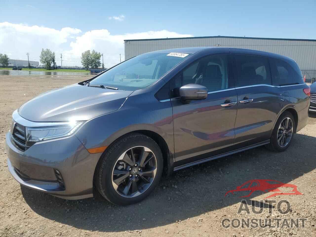 HONDA ODYSSEY 2024 - 5FNRL6H84RB503296