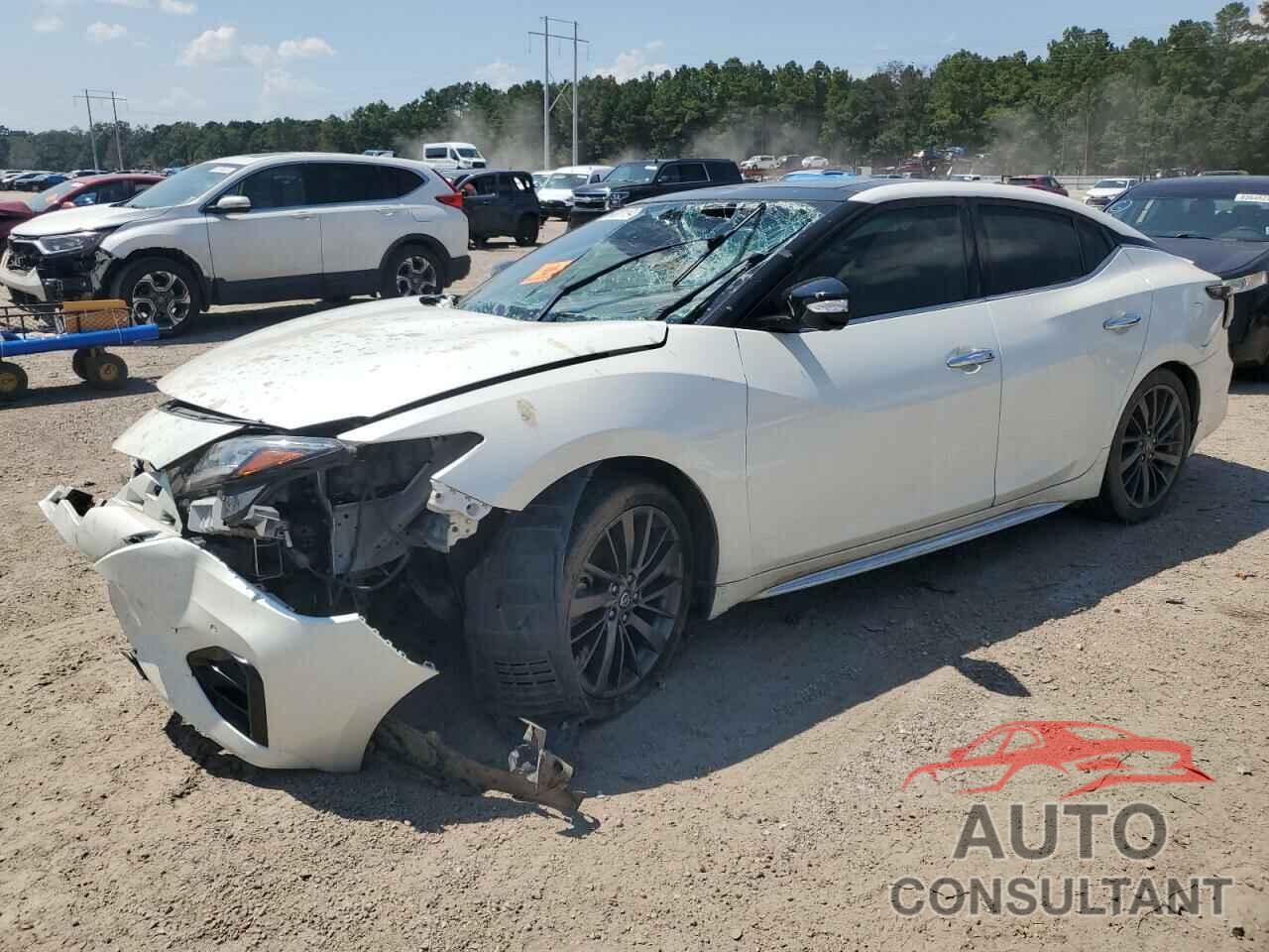 NISSAN MAXIMA 2019 - 1N4AA6AV3KC371966