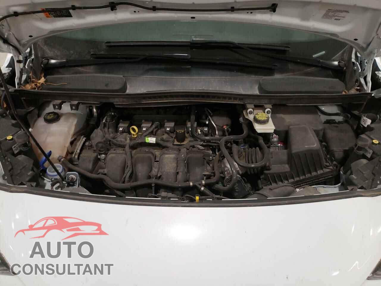 FORD TRANSIT CO 2019 - NM0LS7F2XK1429195