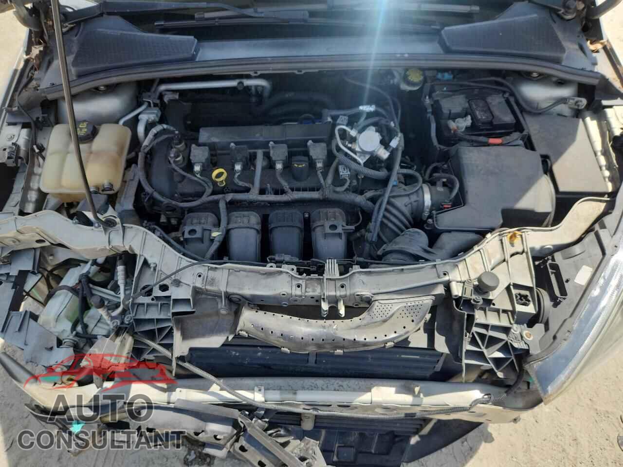 FORD FOCUS 2016 - 1FADP3F24GL201499