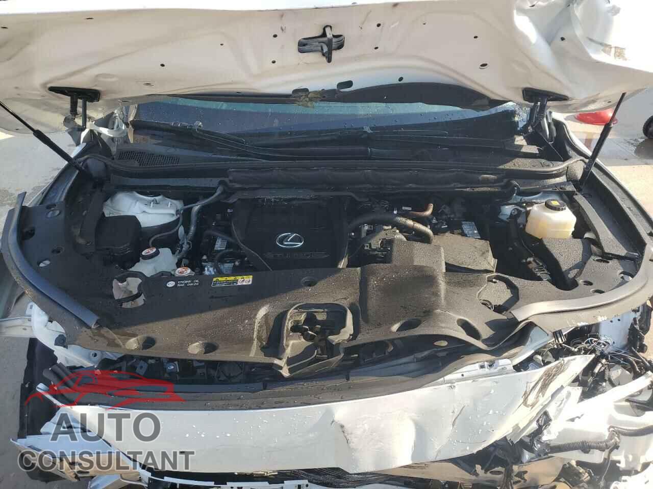 LEXUS RX350 2023 - 2T2BAMBA2PC014643