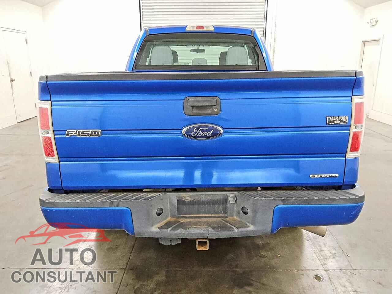 FORD F150 2013 - 1FTFX1CF1DKD30168