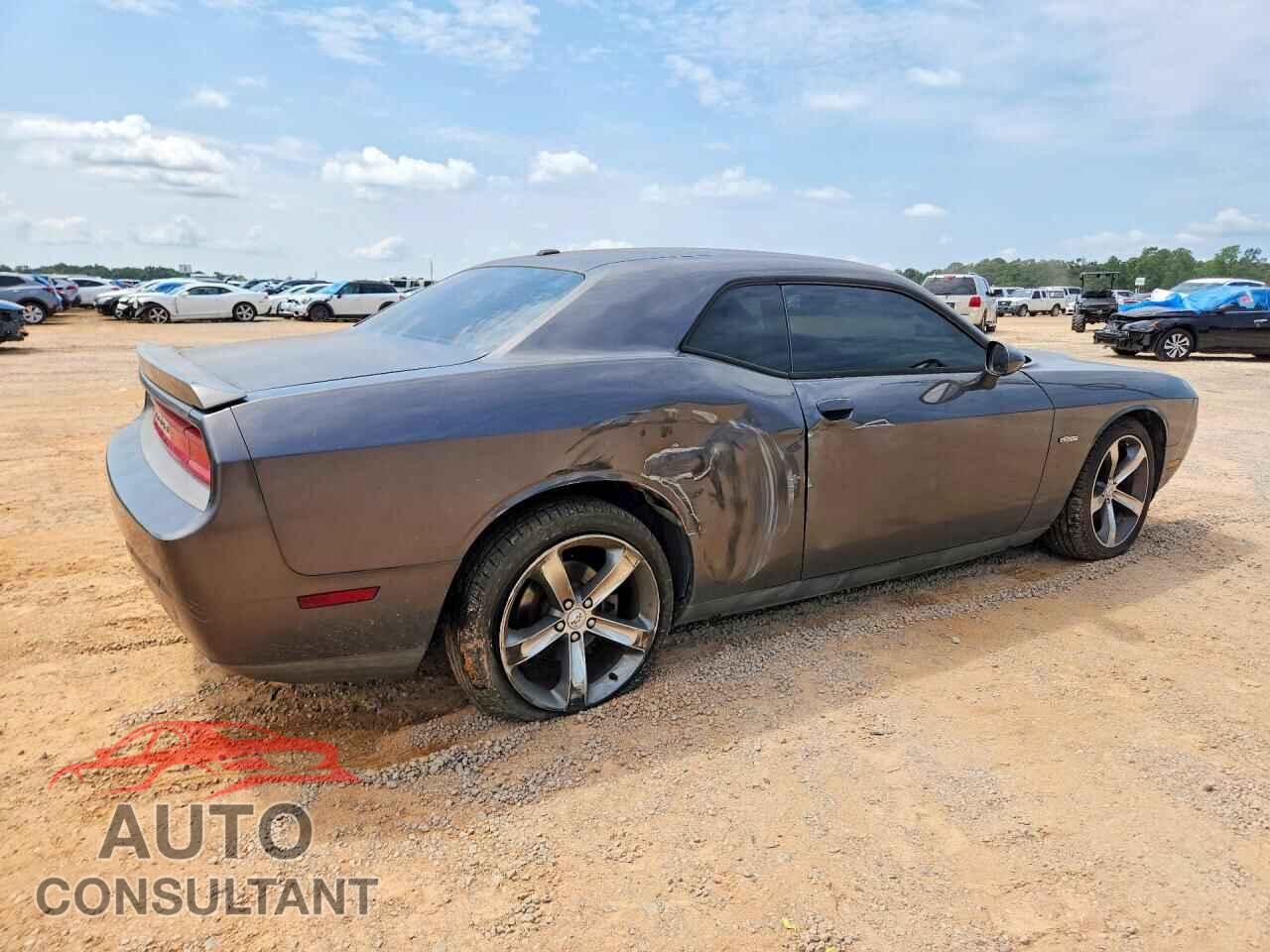 DODGE CHALLENGER 2014 - 2C3CDYAG0EH225490