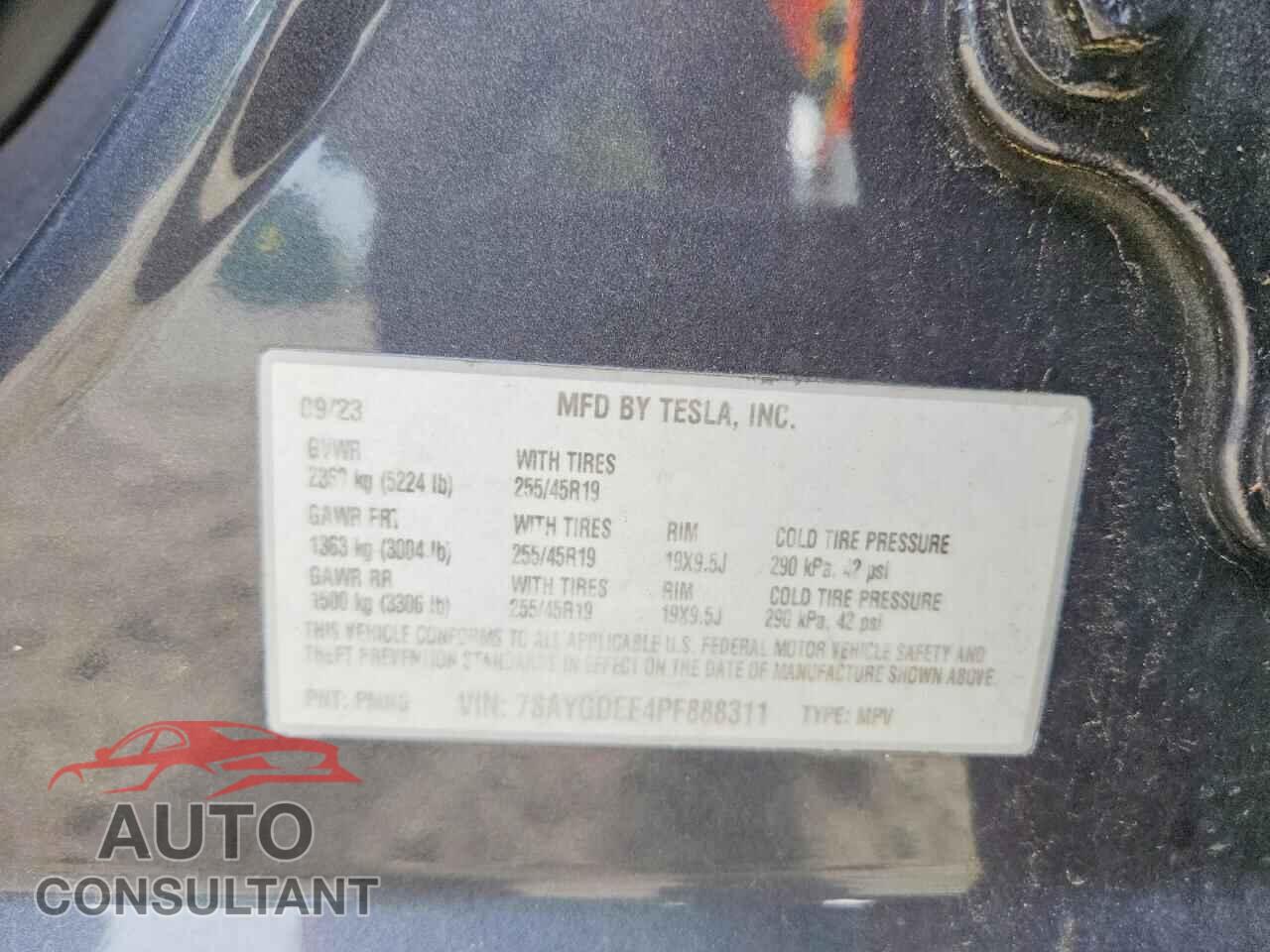 TESLA MODEL Y 2023 - 7SAYGDEE4PF888311