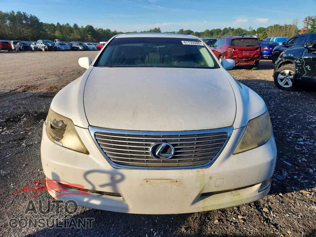 LEXUS LS460 2009 - JTHBL46F095085519