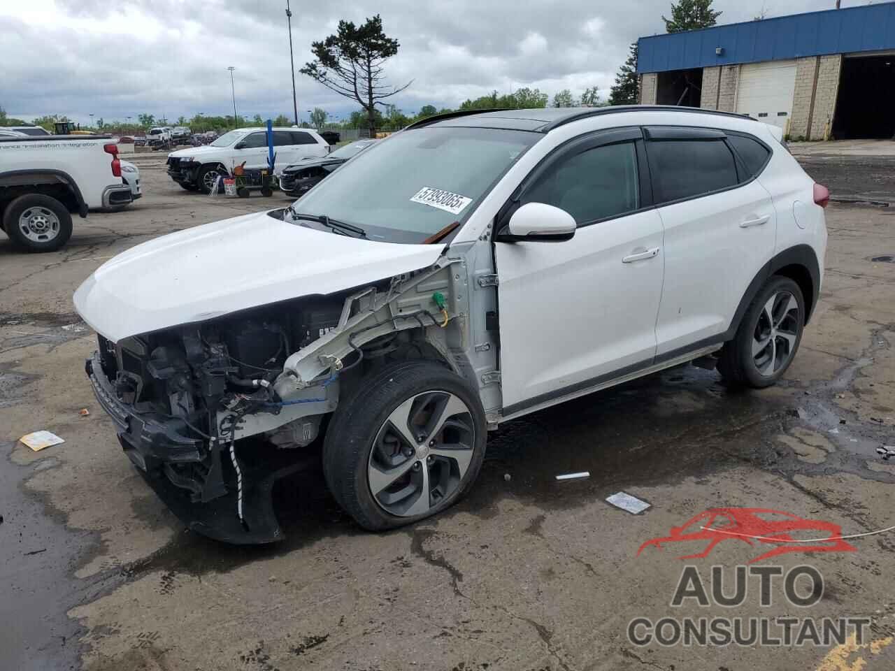 HYUNDAI TUCSON 2017 - KM8J3CA29HU565652