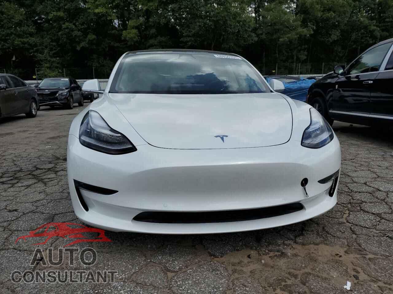 TESLA MODEL 3 2019 - 5YJ3E1EB8KF364783