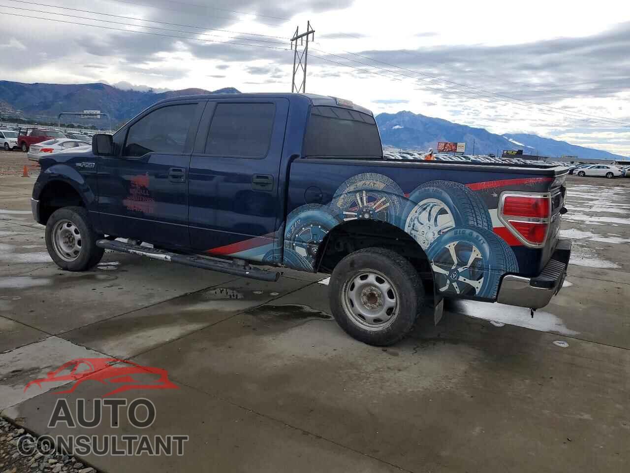 FORD F150 2010 - 1FTEW1E82AFD34490