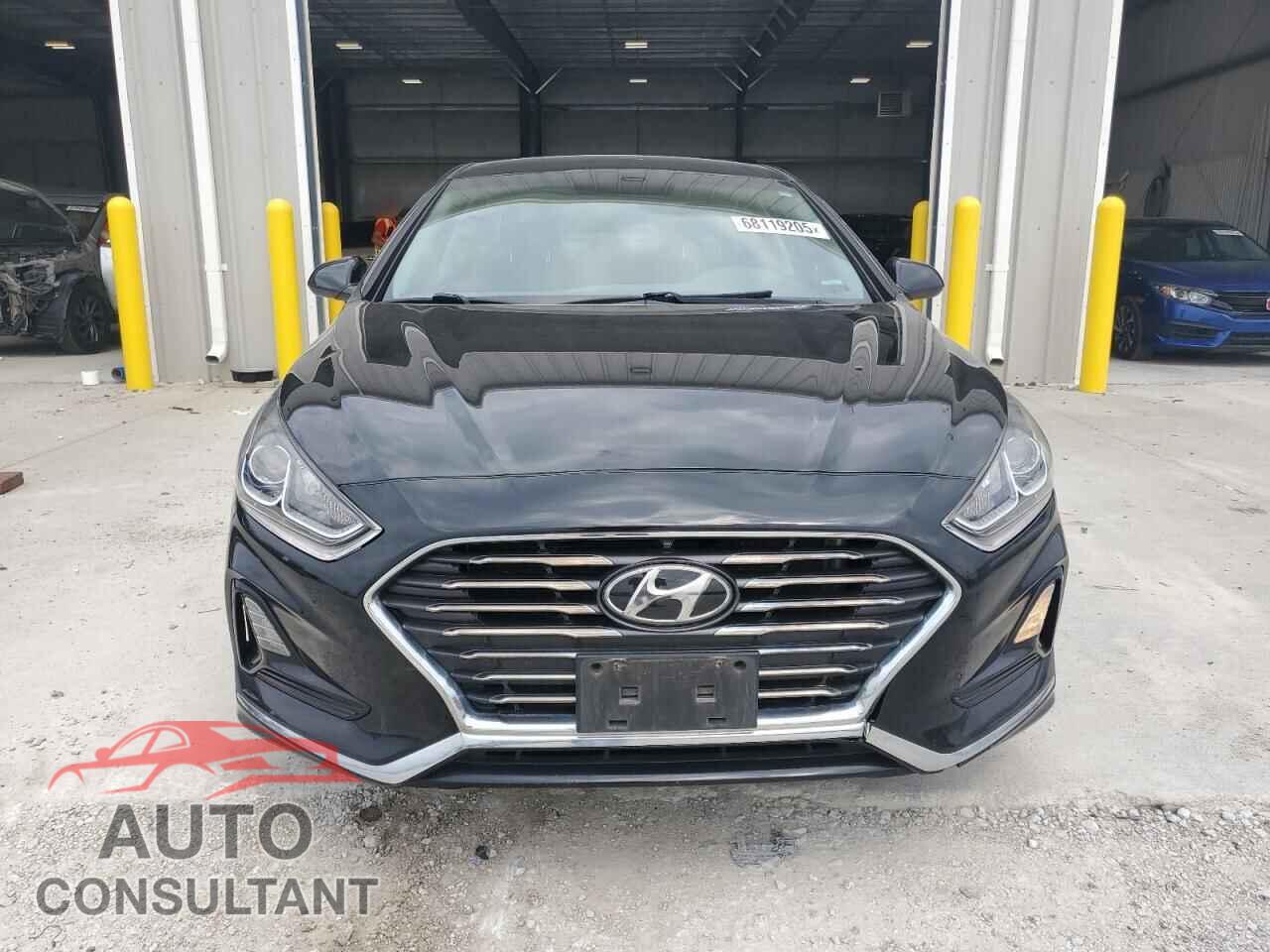 HYUNDAI SONATA 2019 - 5NPE24AF0KH759487