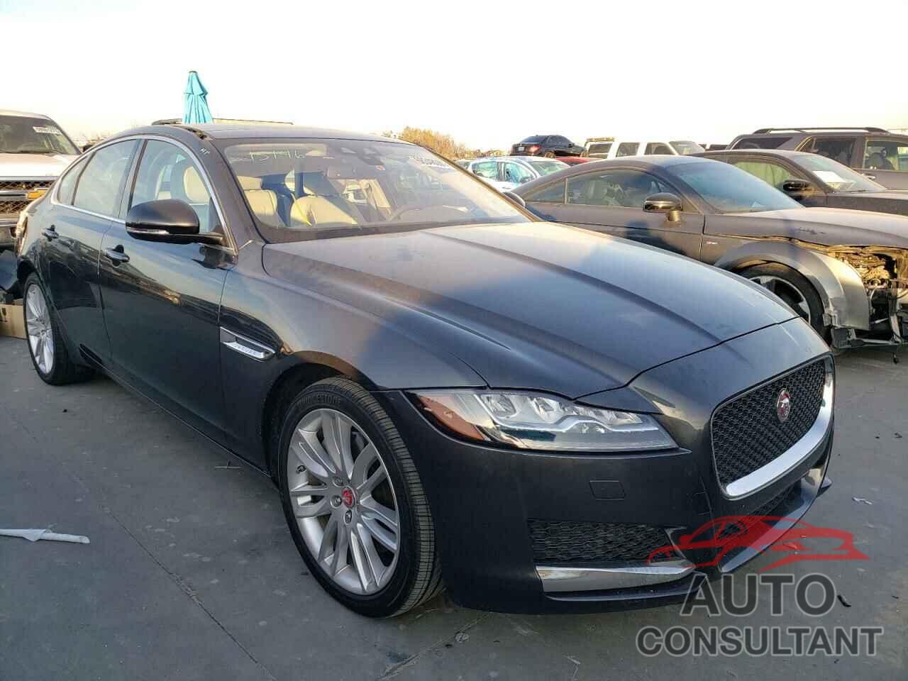 JAGUAR XF 2016 - SAJBE4BV2GCY16941