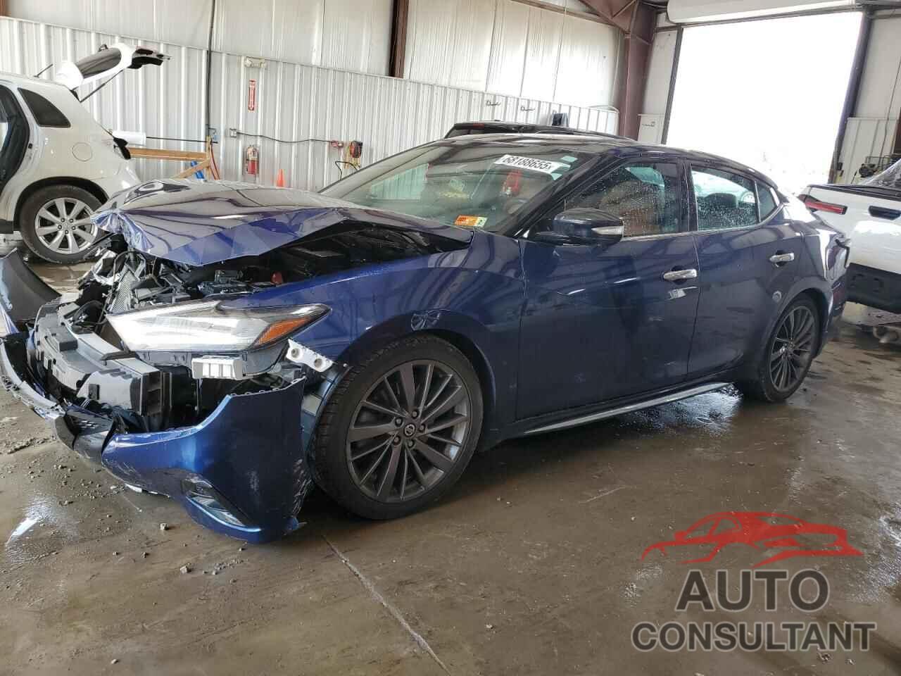 NISSAN MAXIMA 2019 - 1N4AA6AV2KC367732