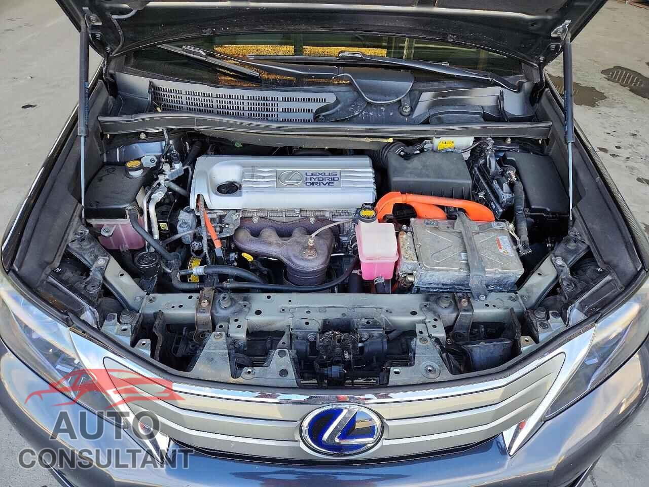 LEXUS HS 2010 - JTHBB1BA6A2005304