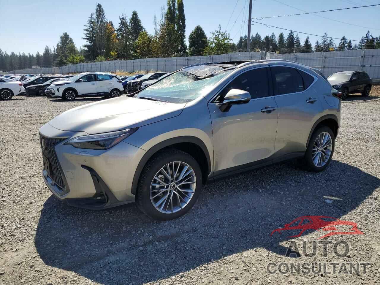 LEXUS NX 350 LUX 2024 - 2T2HGCEZ3RC036447