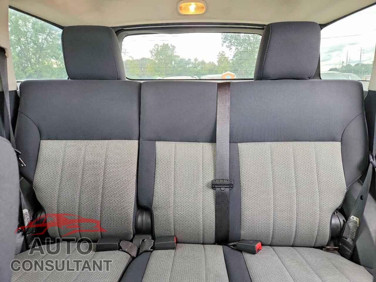 DODGE NITRO 2010 - 1D4PU5GK4AW113684