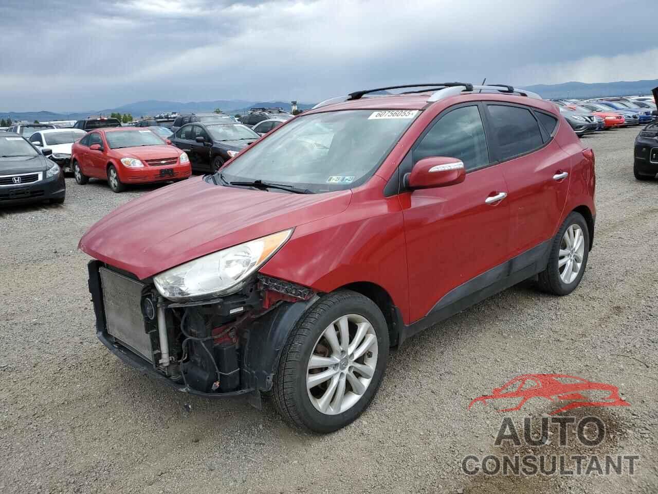 HYUNDAI TUCSON 2013 - KM8JUCAC7DU667757