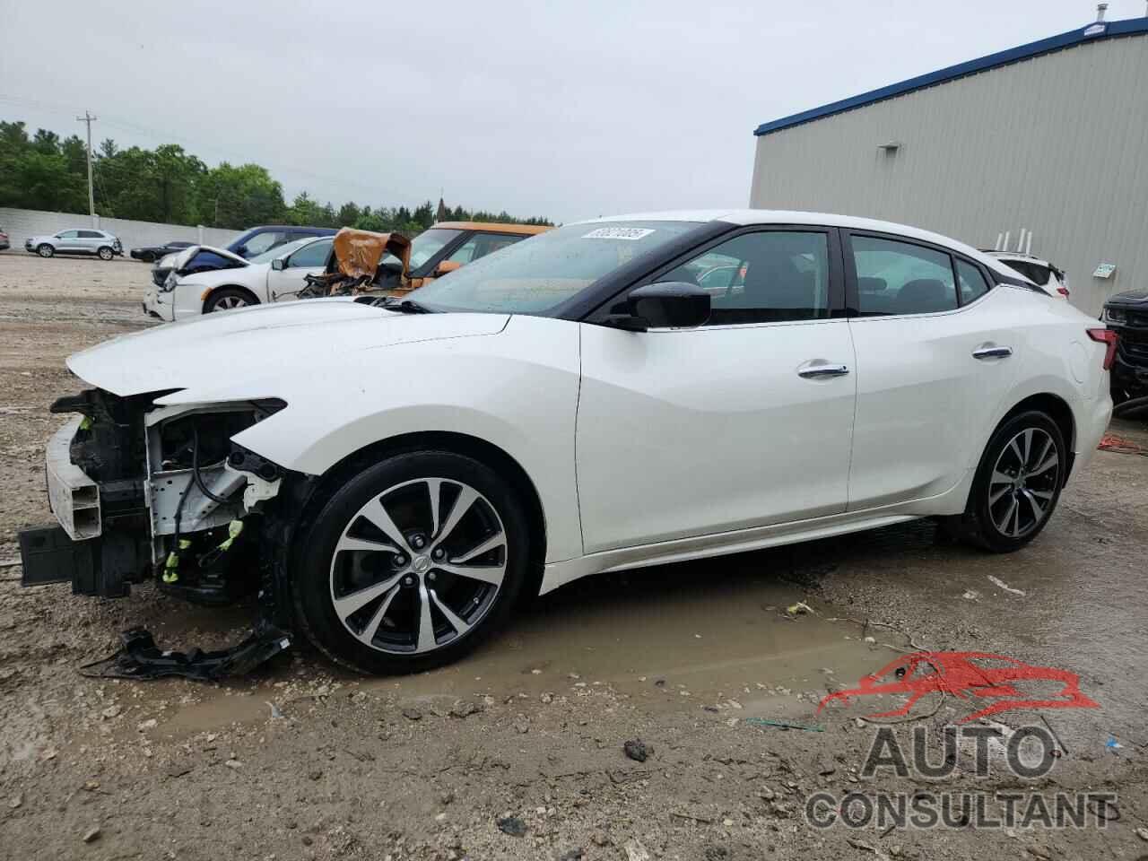 NISSAN MAXIMA 2016 - 1N4AA6AP3GC406529