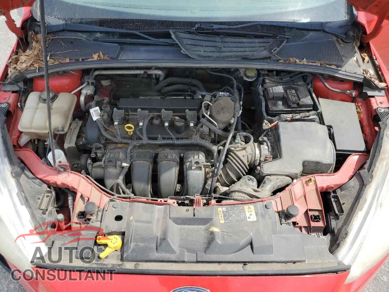 FORD FOCUS 2016 - 1FADP3K28GL217162