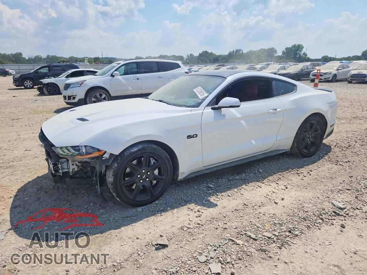 FORD MUSTANG 2019 - 1FA6P8CF1K5113522