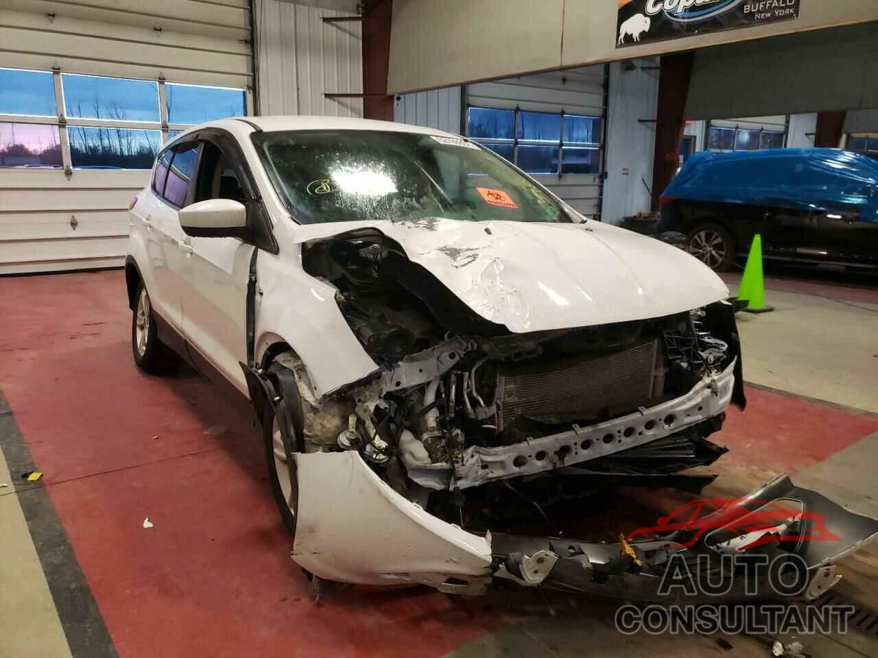 FORD ESCAPE 2016 - 1FMCU9GX9GUB33038