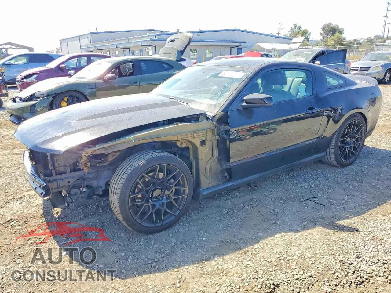 FORD MUSTANG 2011 - 1ZVBP8CF7B5125857