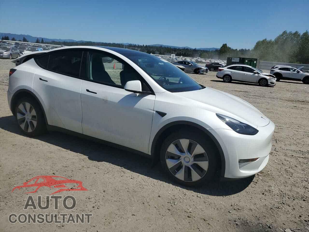 TESLA MODEL Y 2023 - 7SAYGDEE8PF764543