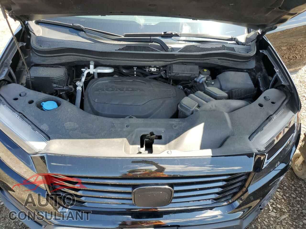HONDA RIDGELINE 2021 - 5FPYK3F19MB020597